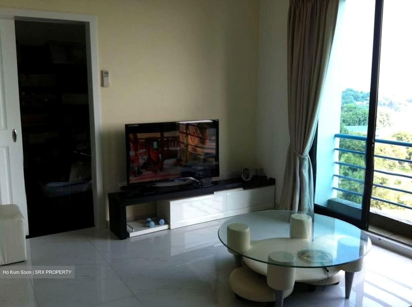 Harbour View Towers (D4), Condominium #585553241